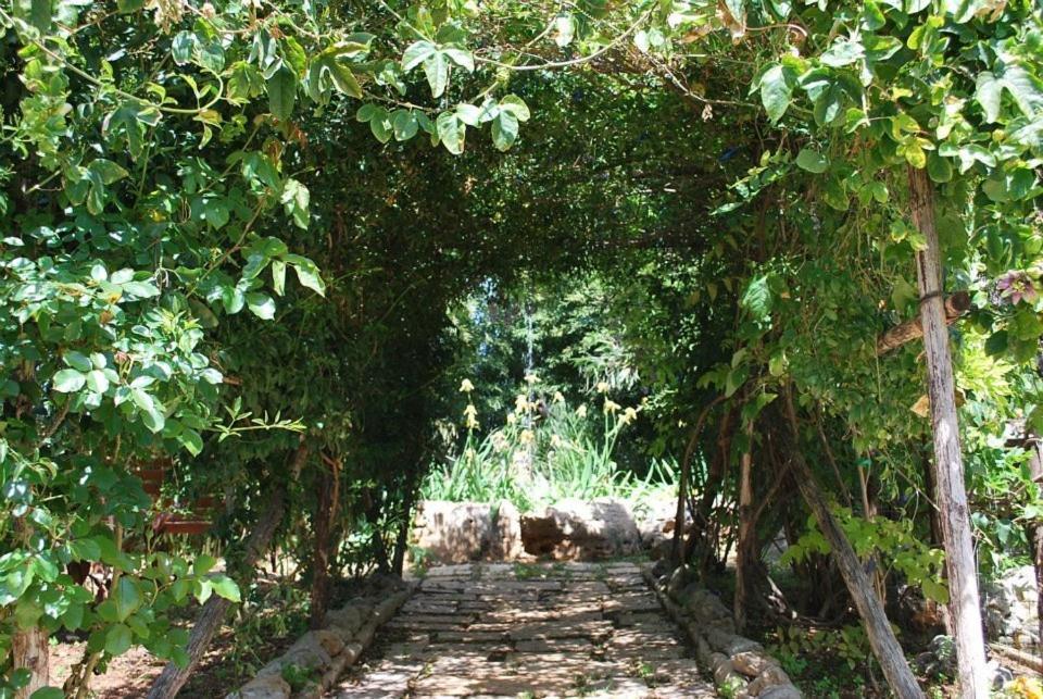 Dal Canonico Mola di Bari Ngoại thất bức ảnh